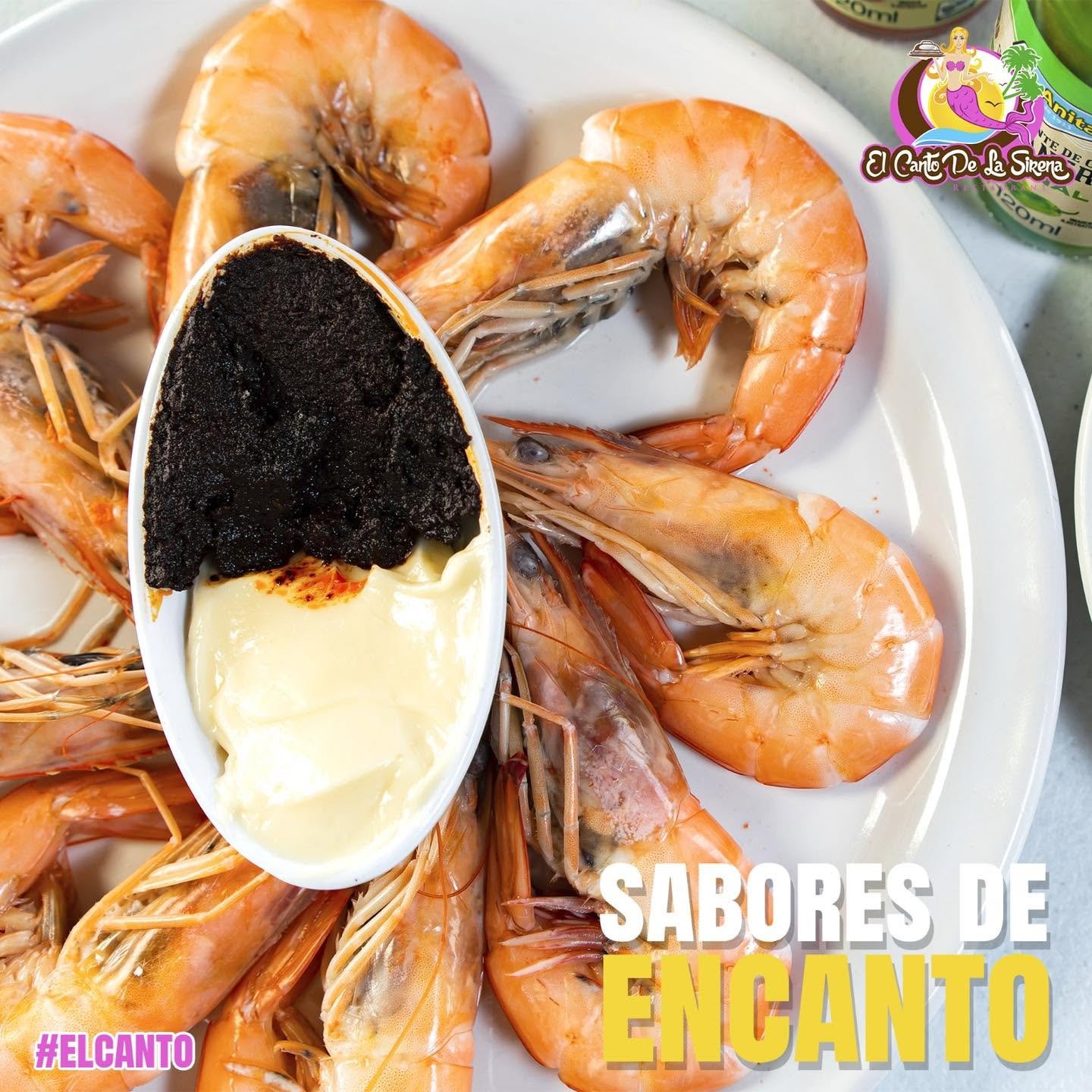 El Canto De La Sirena