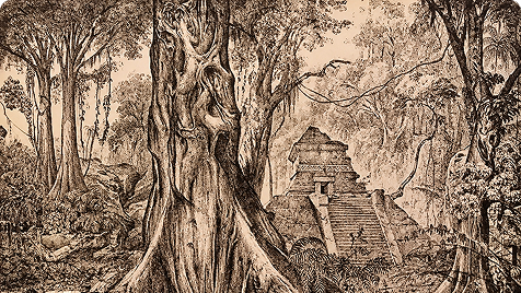 Raíces indígenas: el origen de Tuxpan
