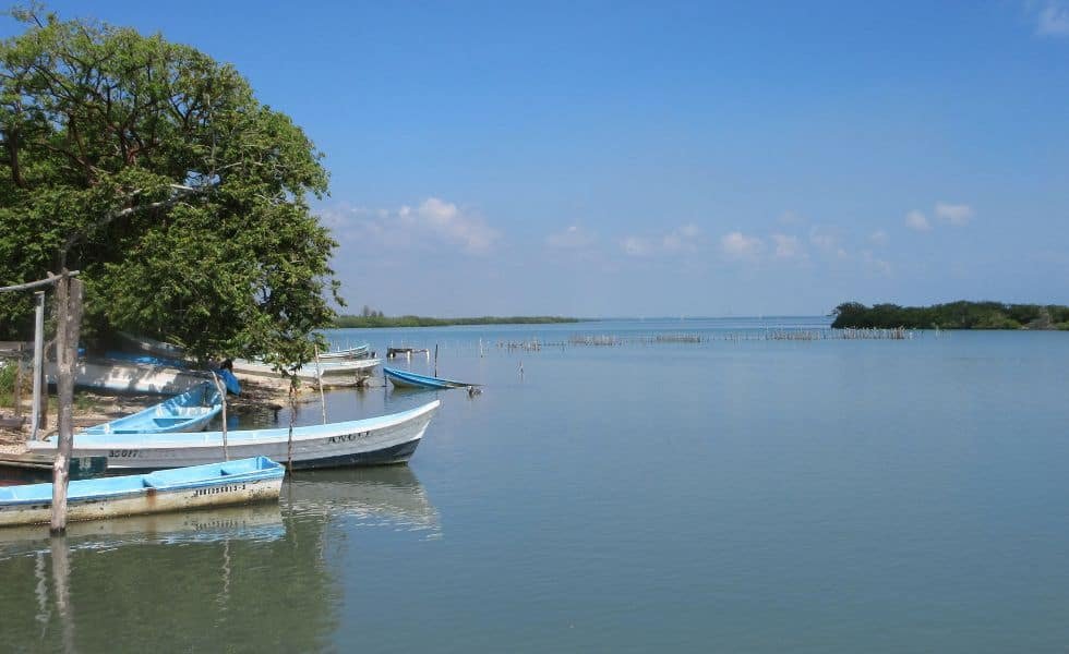 logo_laguna_tampamachoco