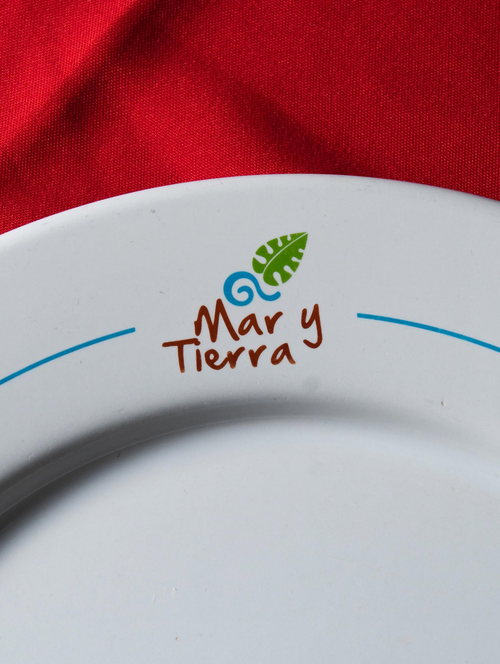 logo_mar_y_tierra