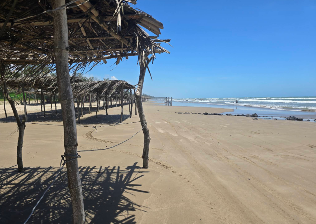 logo_playa_san_antonio